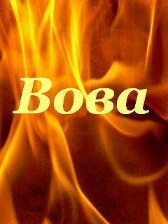 Владимир Копейкин