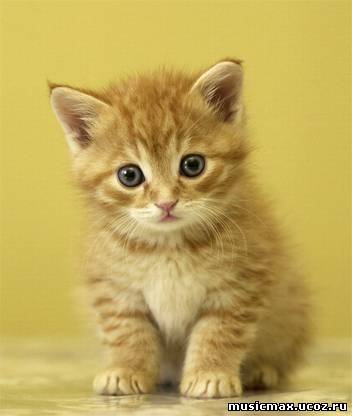 Нэлли Киямова