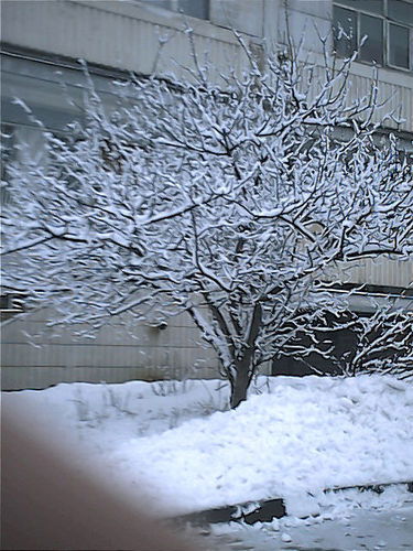 Жанна Кузнецова