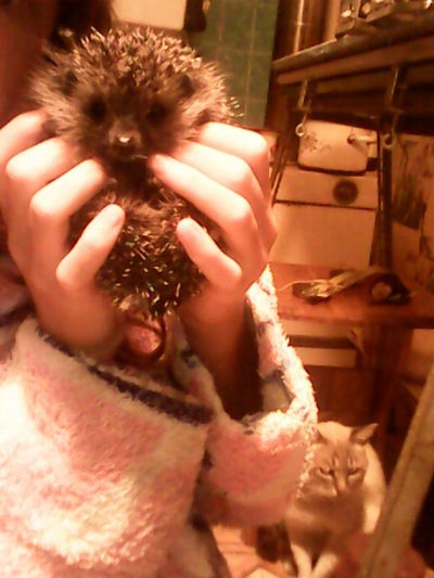 Виктория Подымова