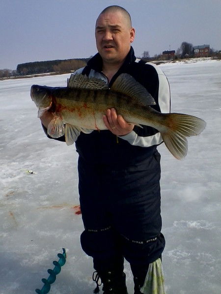 Максим Глазунов