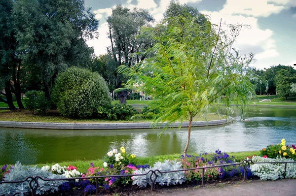 Неизвестно Неизвестно