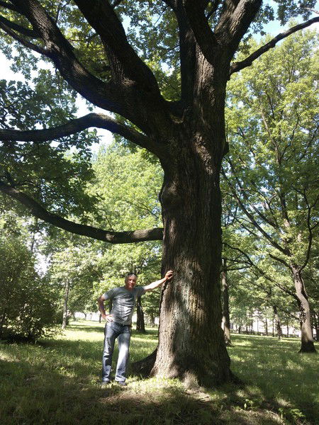 Юрий Ковальков