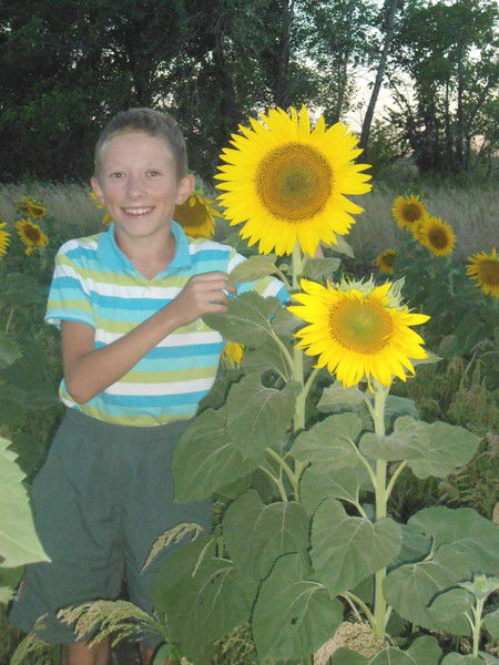 Вадим Хабибитдинов