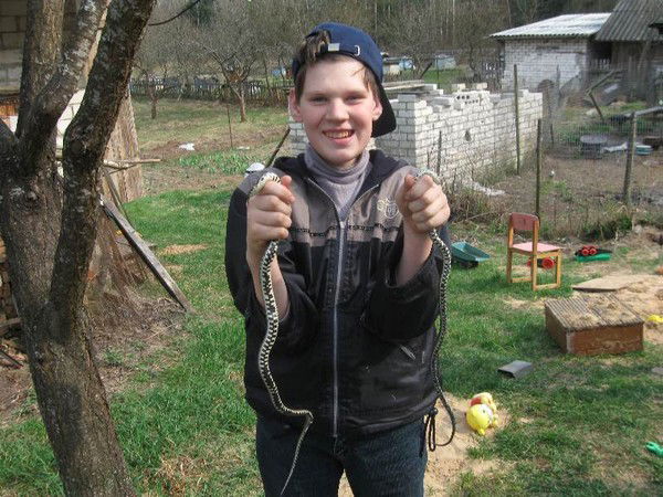 Артём Лебедевич