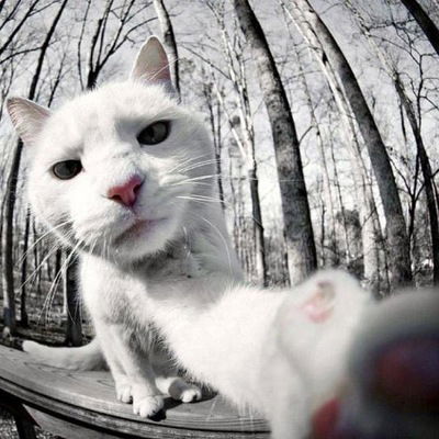 Бронислав Иванов