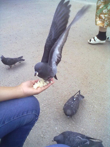 $$$Счастливы Вместе°°°°