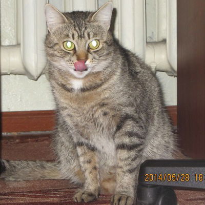 Александр Семёнов