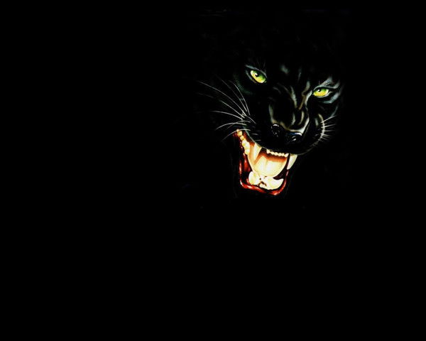 Варвара Багаева