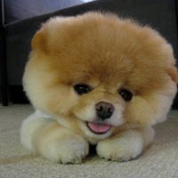 Руслан Сачинський