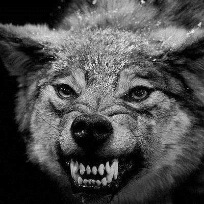 Дарья Тишина-Кузнецова