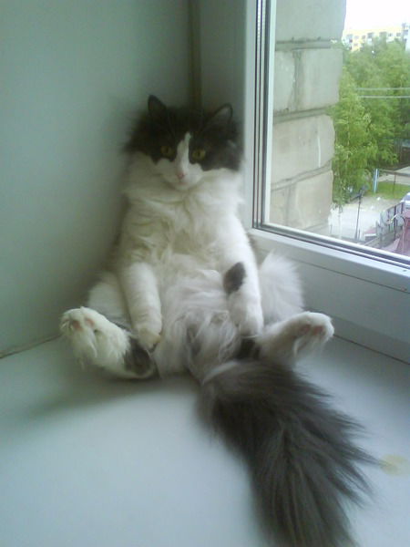 Катюшка Дьяченко