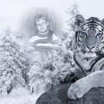 Полина Компанец