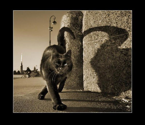 Алексей Макаров