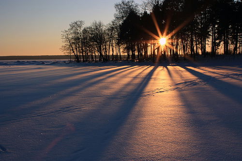 Ирина Иокерс