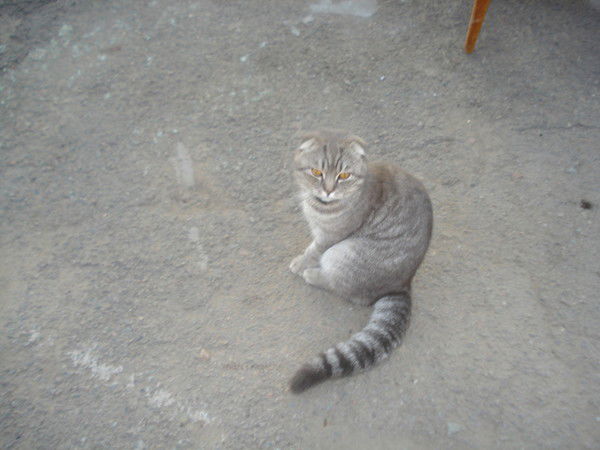 Артем Мотьев