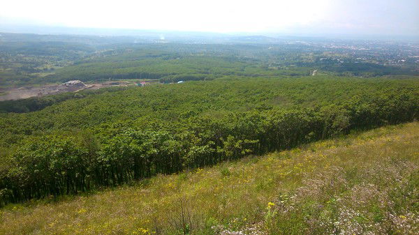 Владимир Пивоваров