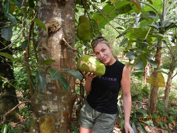 Лариса Куцевол