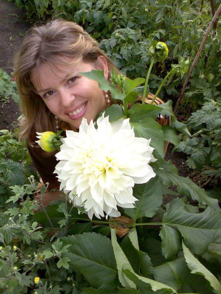 Елена Столярова