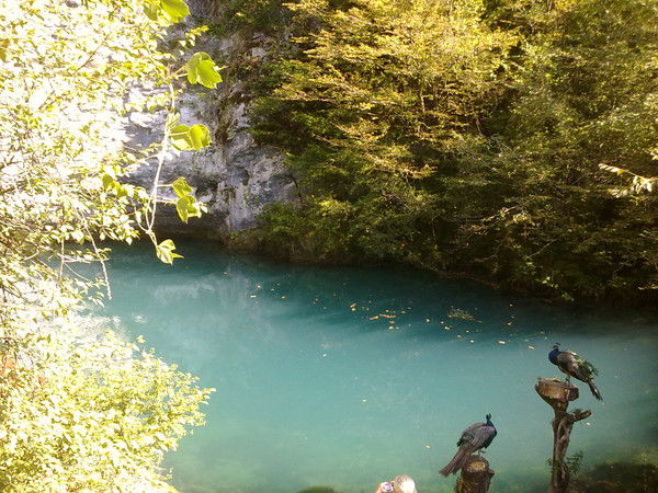 Ольга Плотникова