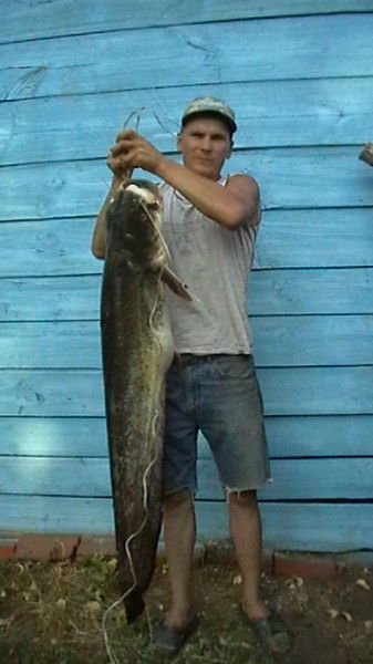 Адис Сафаргалиев