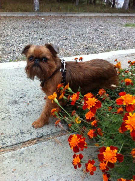 Лариса Кокнаева