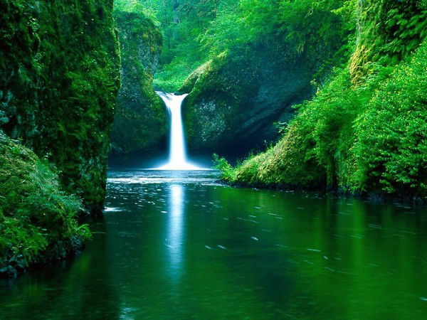 Светлана Пирожкова