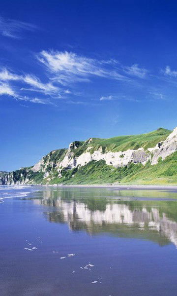 Дмитрий Тарасов