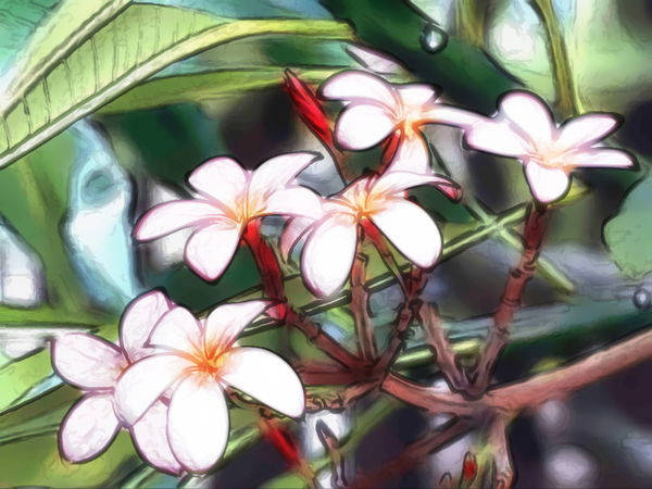 Ирина Иконникова