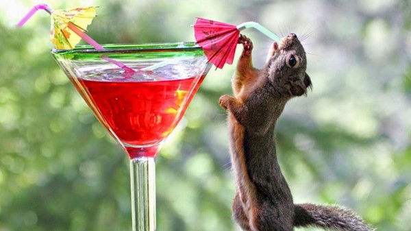 Олег Мутных