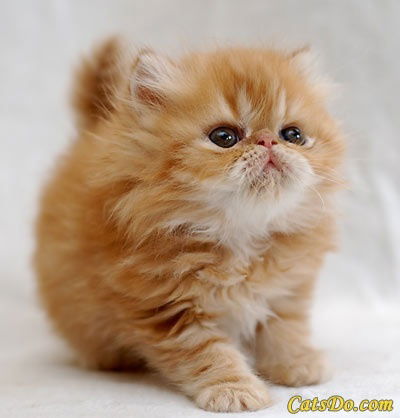 Полина Сляднева