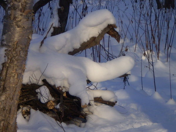 Анатолий Гитников