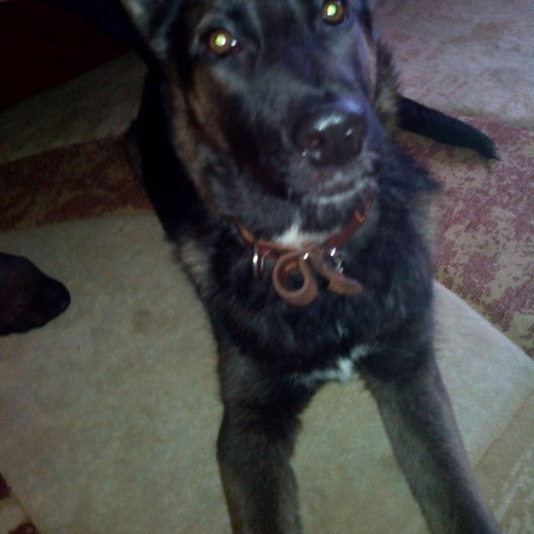 Сергей Тарасевич