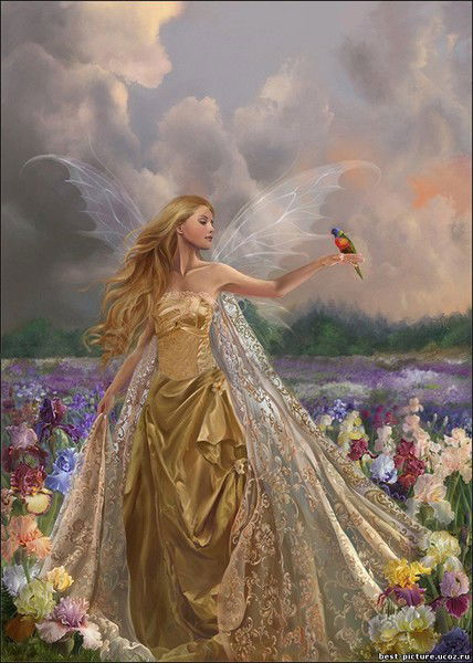 Аврора Утро