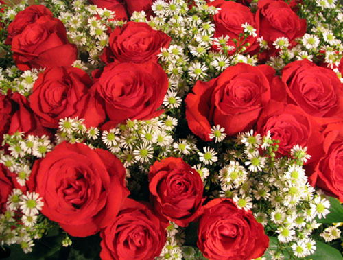 Елена Балко