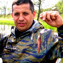 Albert Kireev