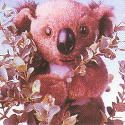 Алла Осипчук