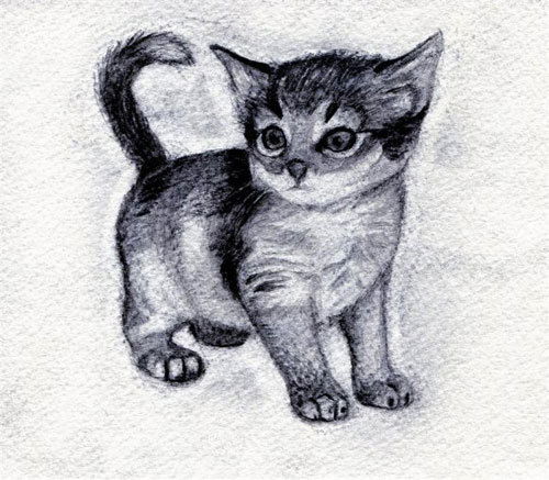 Динусик Кардынова