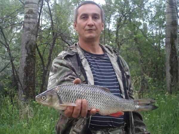 Владимир Горнов