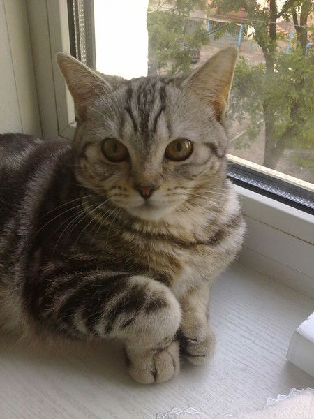 Алина Самойлова