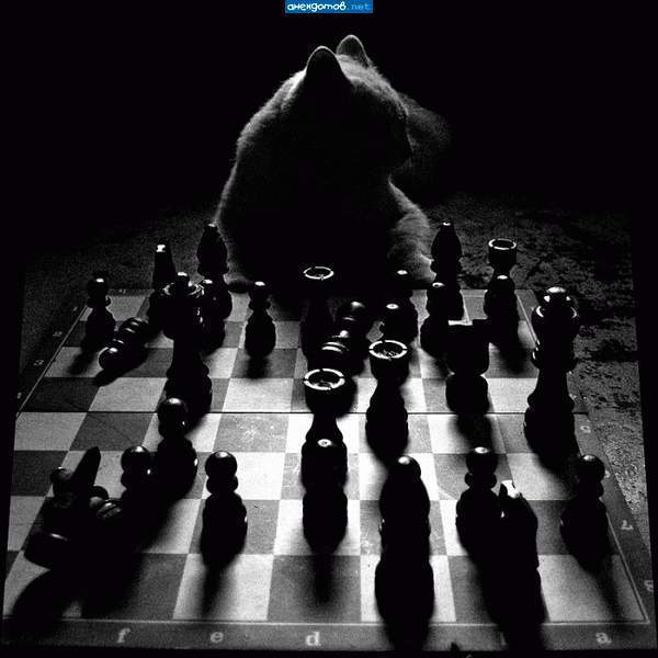 Нина Фёдорова