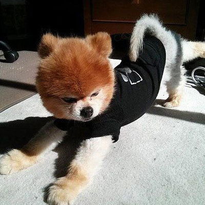 Амина Курдюкова