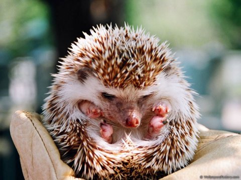 Татьяна Митина