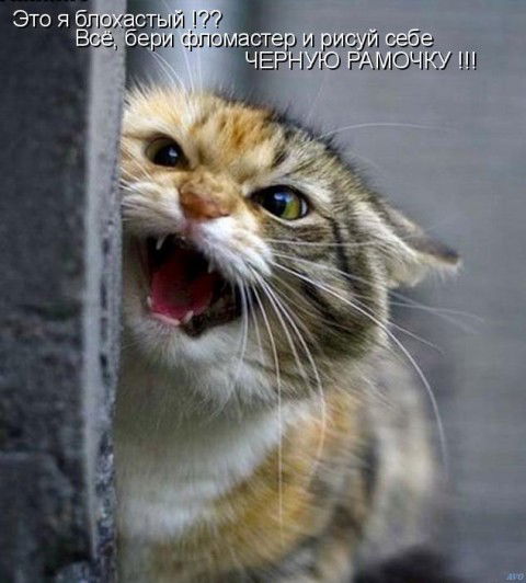 Галина Фишер