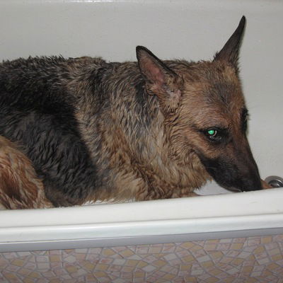 Артём Габдрахманов