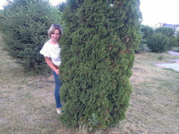 Татьяна Лапыгина