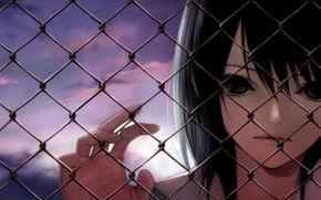 Аня Своровская