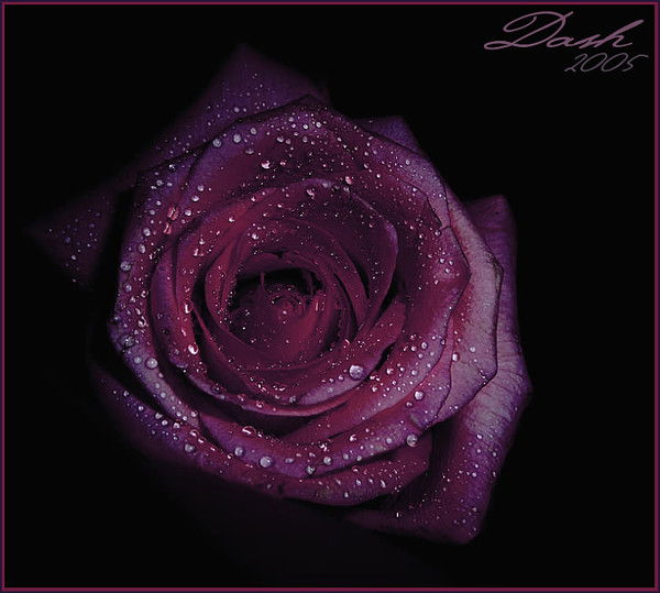 Кто Кто А Не Я