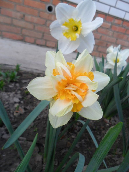 Наталья Златарева