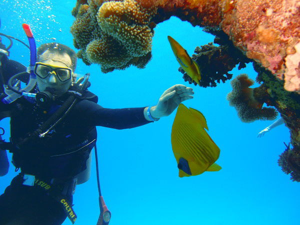 Дмитрий Гришин